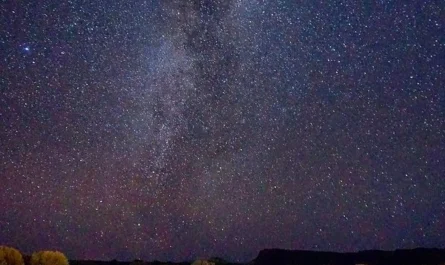 Under the Stars at Kings Canyon Resort