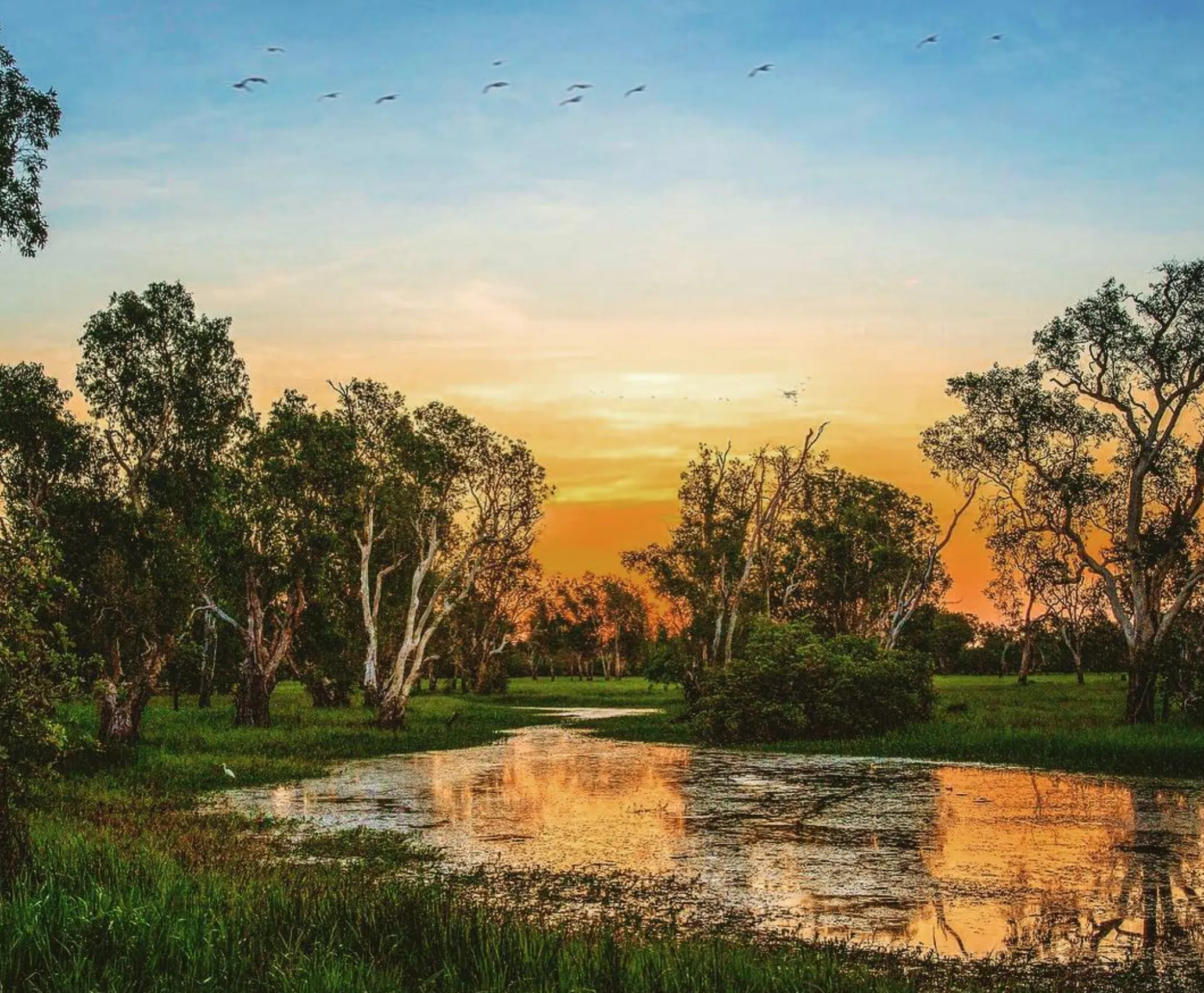 Mamukala Wetlands
